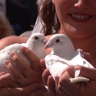 Tauben für die Hochzeit